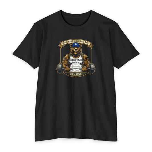 Right to Bear Arms